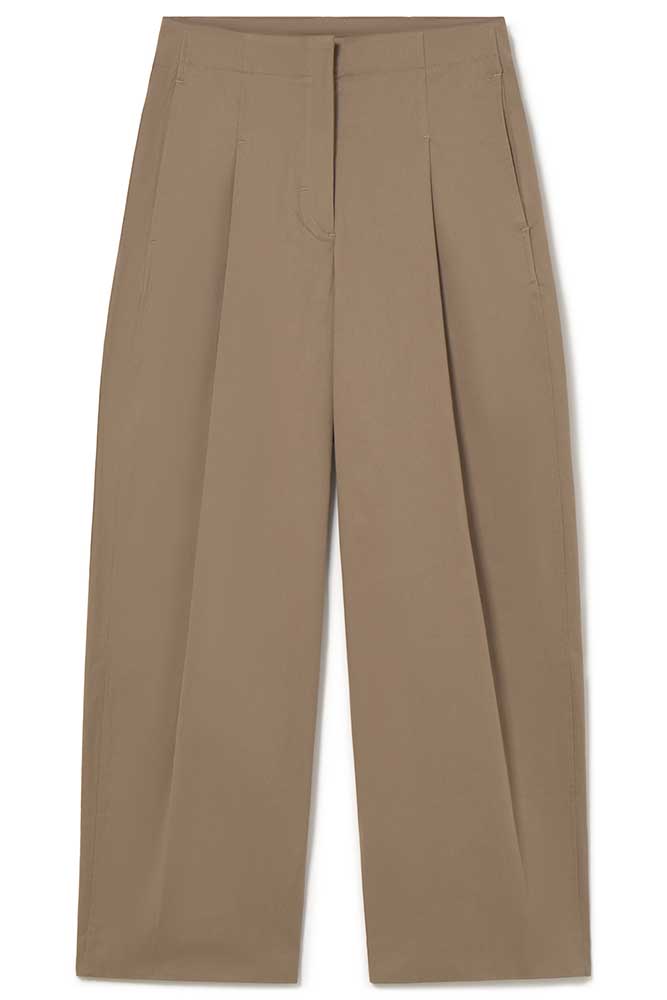 Pleated pants